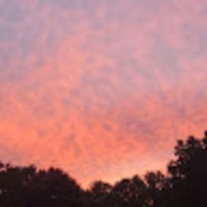 Meet your Posher, Siham